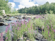 立式離心泵的用途有哪些？